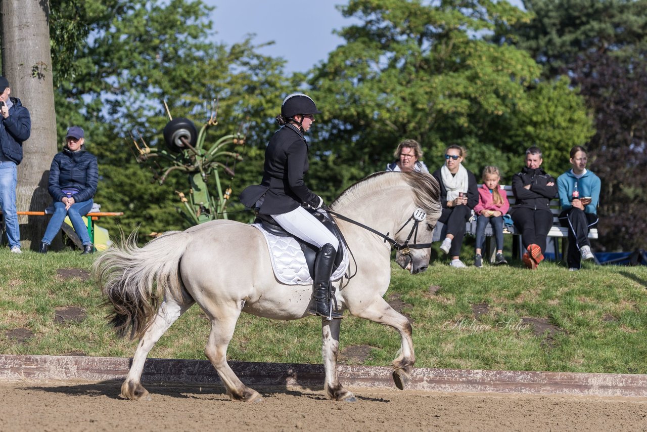 Bild 234 - Pony Akademie Turnier